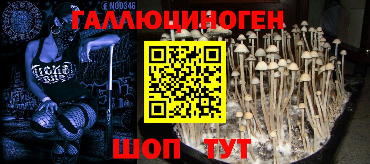 Псилоцибиновые грибы Cubensis Советский