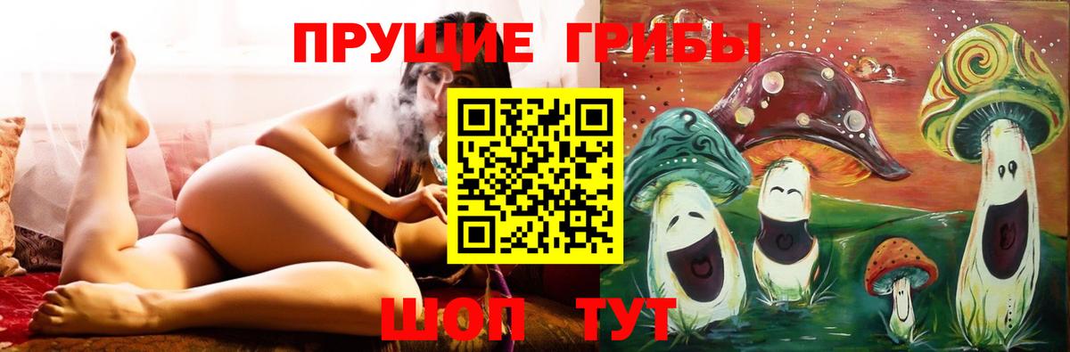 Псилоцибиновые грибы Psilocybe Советский