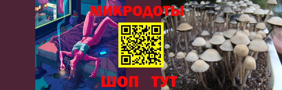 Советский  Галлюциногенные грибы мицелий  Вход с VPN 